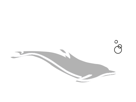 Onlineshop Funny Diving